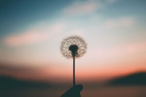 Sudden wealth syndrome dos donts